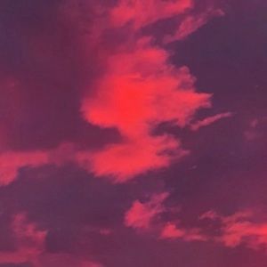 Meet your Posher, Brad